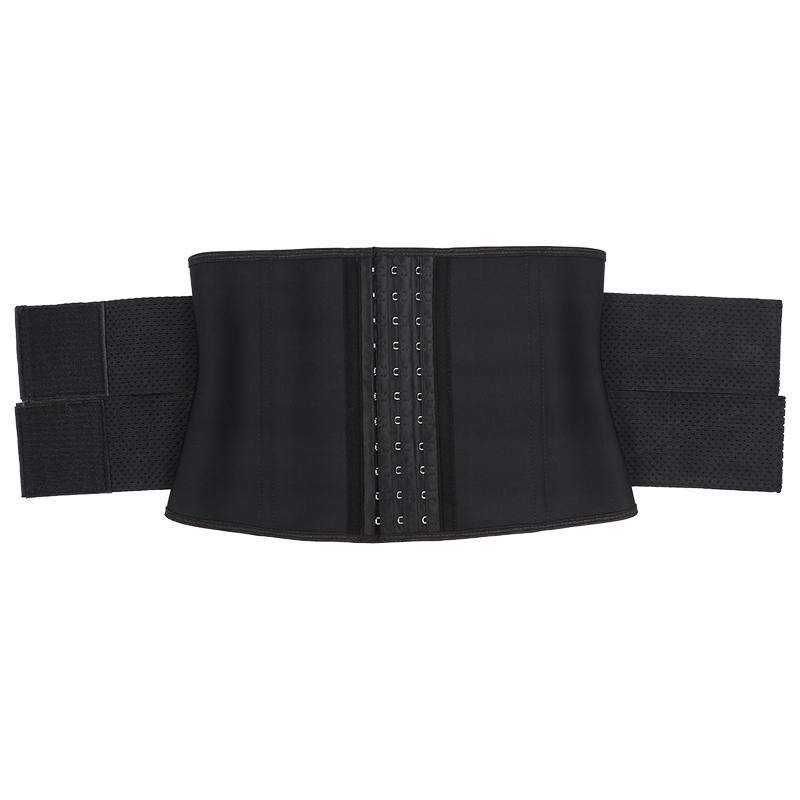 Double belt development view