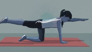 velcro waist trainer