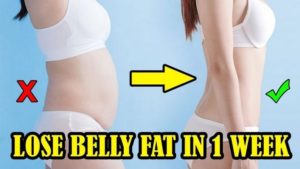 lose belly fat